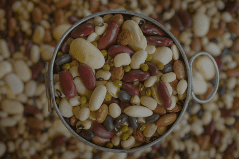 légumineuses légumes secs