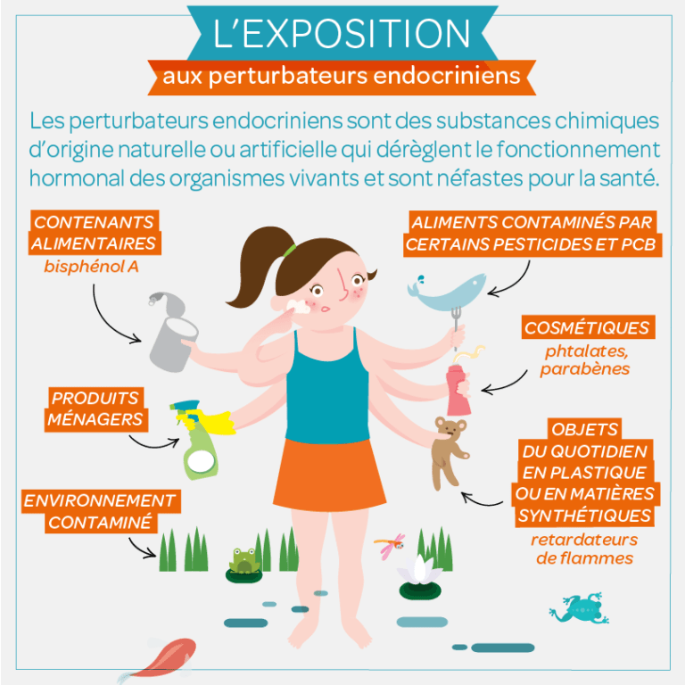 L’exposition-aux-perturbateurs-endocriniens L'exposition aux perturbateurs endocriniens