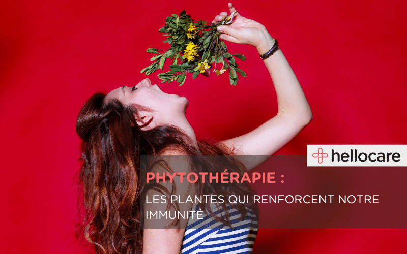 Phytothérapie et immunité : les plantes pour booster le système immunitaire