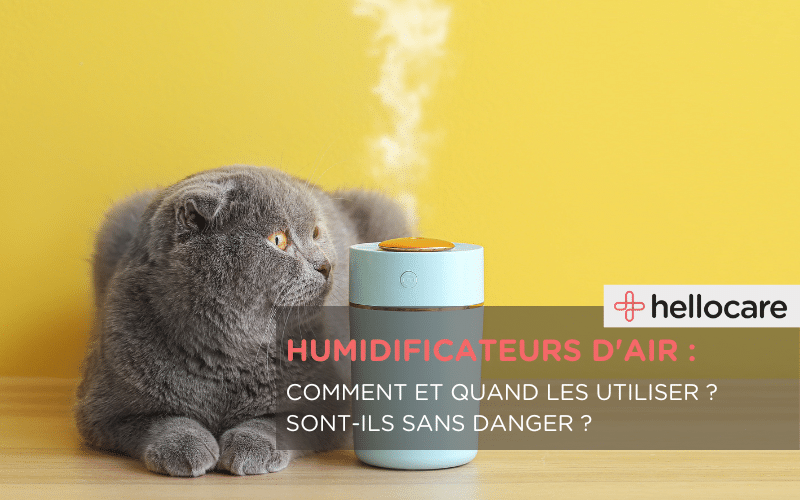 Humidificateur d'air : bienfaits santé, risques et précautions, et comment choisir un humidificateur d'air